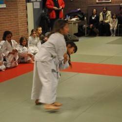 DSC 0284  Medium - Judoclub Zaventem 
